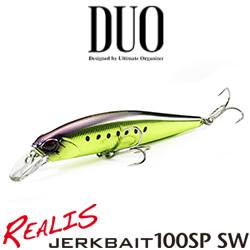 DUO Realis Jerkbait 100SP SW