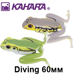 Kahara Diving