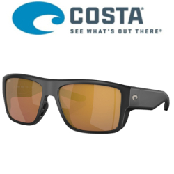 Costa Taxman 580G (Matte Black/Gold Mirror 580G)