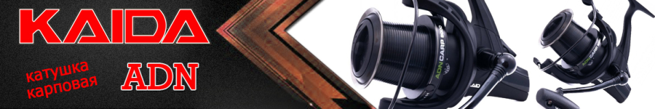 Kaida ADN-Carp