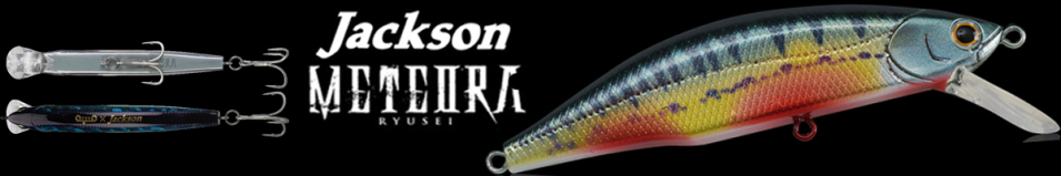 Jackson Meteora SP 110мм 17,5гр.