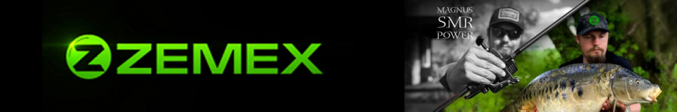 Zemex Magnus SMR Power