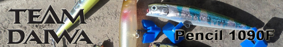 Daiwa TD Pencil 1090F