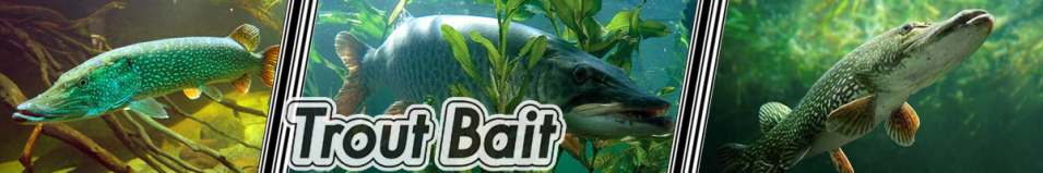 Trout Bait Chernospynka 20 гр.