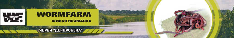 Черви "Дендробена" 25 г.