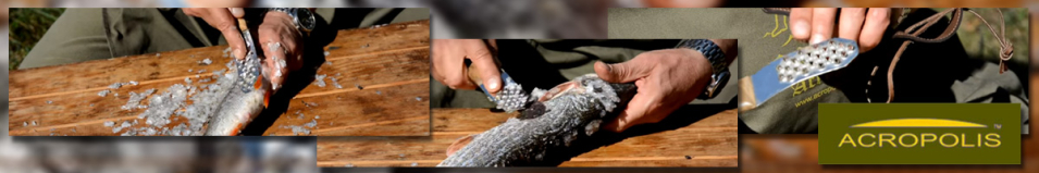 Acropolis Нож Скребок - Рыбочистка НС-1