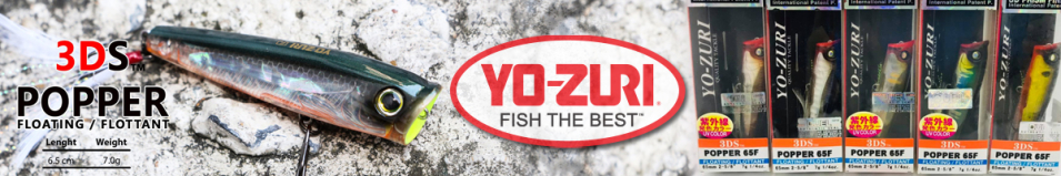 Yo-Zuri 3DS Popper 65F F963