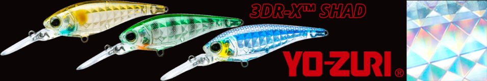Yo-Zuri 3DR-X Shad 60SP R1438