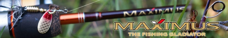 Maximus High Energy-X