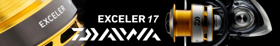 Daiwa 17 Exceler