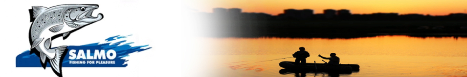 Salmo 301 Крепление для эхолота