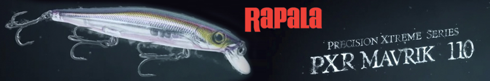 Rapala Precision Xtreme Mavrik SW PXRMS110