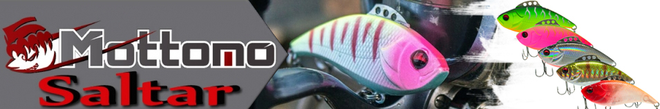 Mottomo Saltar 50S "5 в 1"