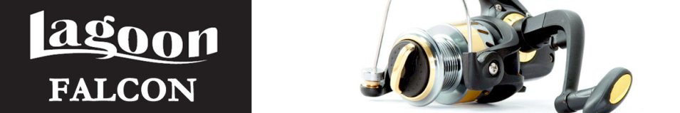 Lagoon Falcon