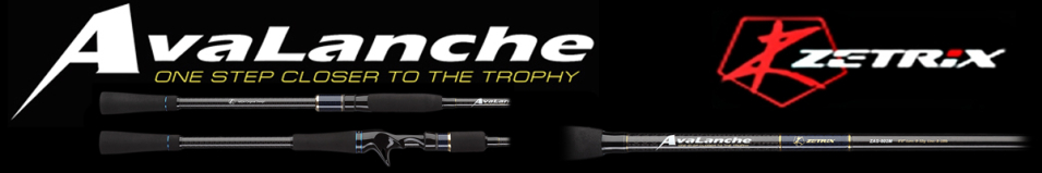 Zetrix Avalanche Cast