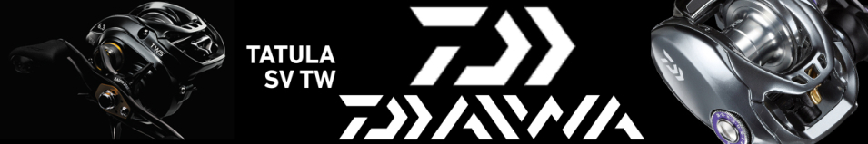 Daiwa Tatula SV TW