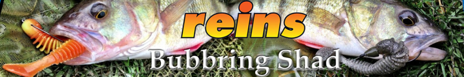 Reins Bubbring Shad 3"