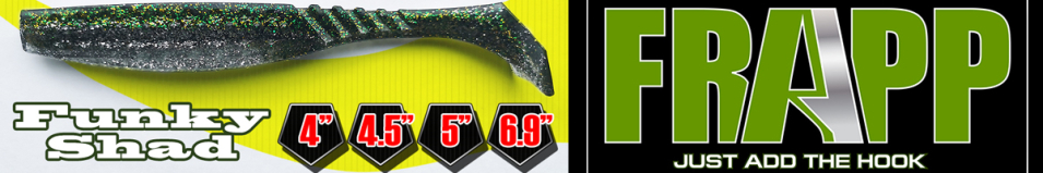 Frapp Funky Shad 9"