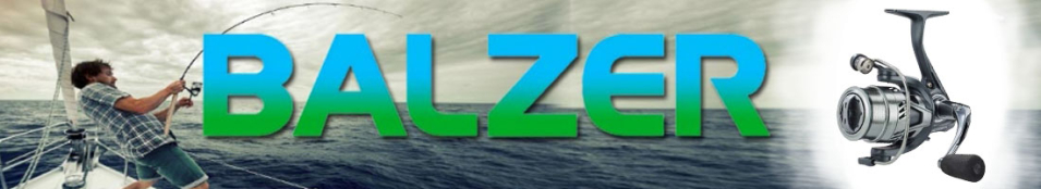 Balzer Alegra TT FD Micro