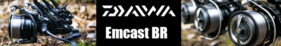 Daiwa 24 Emcast BR LT