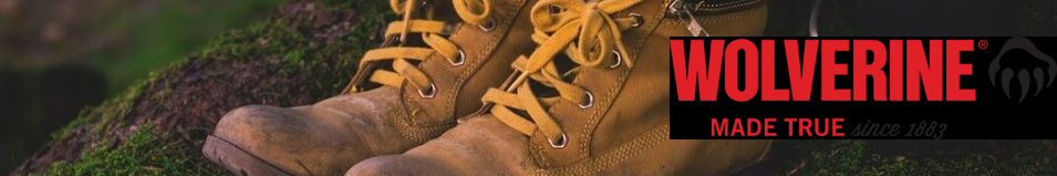 Обувь WOLVERINE (Вулверин) SCOUT 6'' GTX (EW9111)