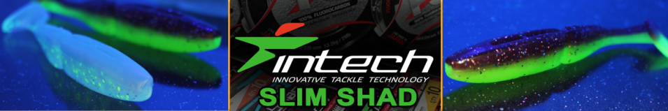 Intech Slim Shad 5"