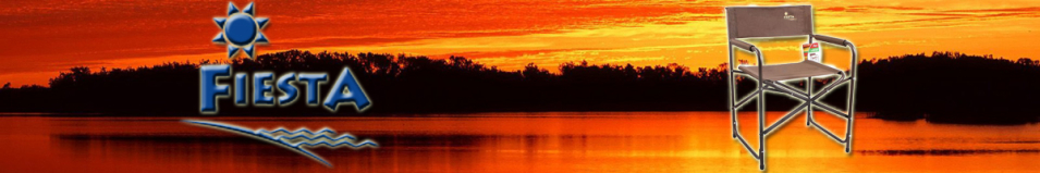 Fiesta Maestro light (сталь) 