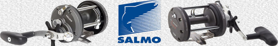 Salmo Diamond Troll 2