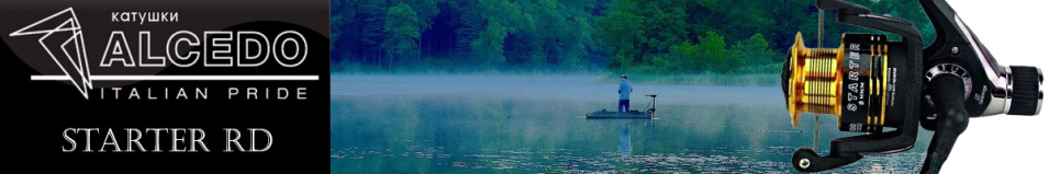 Alcedo Starter RD