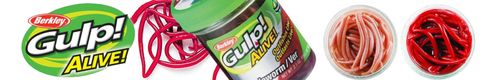 Berkley Gulp! Alive!® Angle Worm