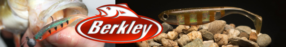 Berkley Gotam Shad 2"