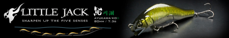 Little Jack Ayukawa Koh 80mm