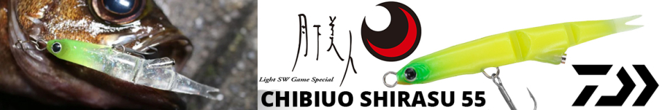 Daiwa Gekkabijin Chibiuo Shirasu 55