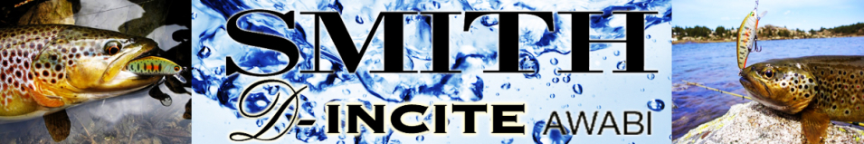 Smith D-Inсite 53 Awabi