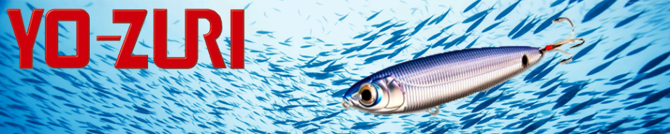 Yo-Zuri Sashimi Pencil SW R972