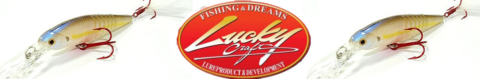 Lucky Craft Live Pointer 80D2R