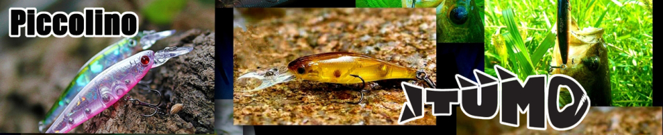 Itumo Piccolino 40SP 