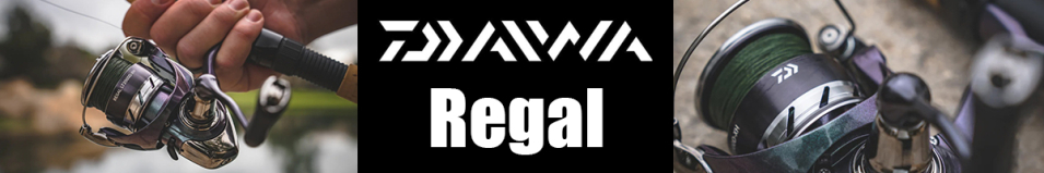 Daiwa 24 Regal LT