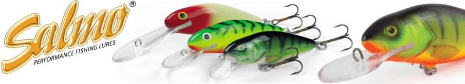 Salmo Perch