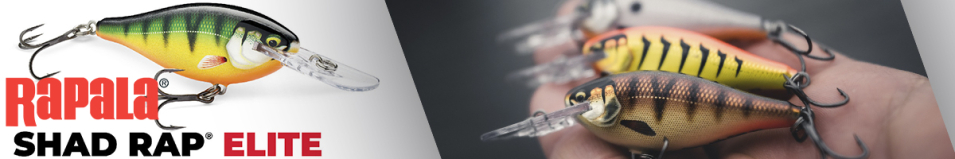 Rapala Shad Rap Elite 75 (SRE75)