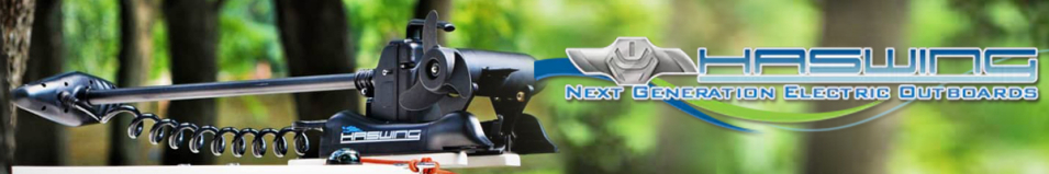 Haswing Cayman B80 + GPS штанга нержавейка 180см.