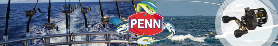 Penn Fathom II Level Wind