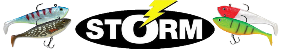 Storm Suspending WildEye Swim Shad SWSB05