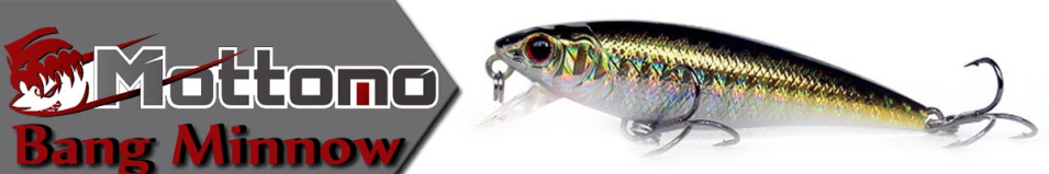 Mottomo Bang Minnow 65SP