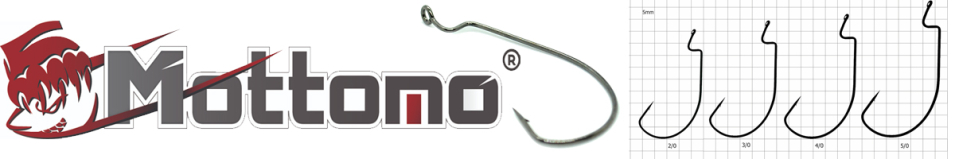 Mottomo JS-19