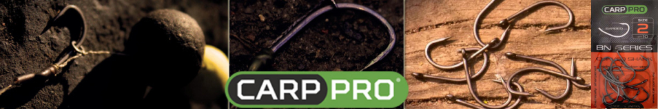 Carp Pro Black Nickel Curved Shank
