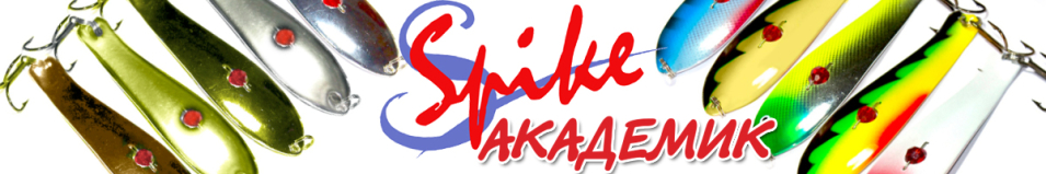Spike Академик 24гр. 1024