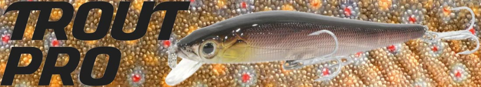 Trout Pro Long Minnow 100F