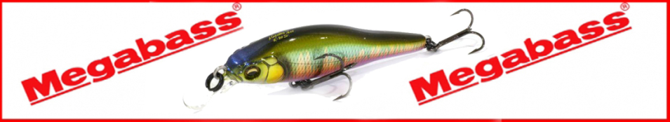 Megabass X-80 Jr