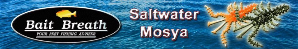 Bait Breath Saltwater Mosya 2"